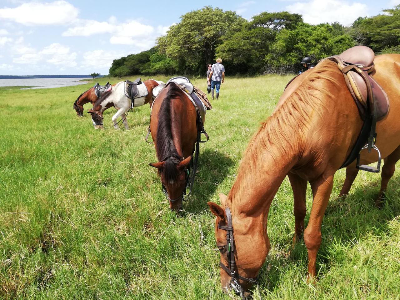 We Bushcamp & Horse Safaris Vila Hluhluwe Exterior foto